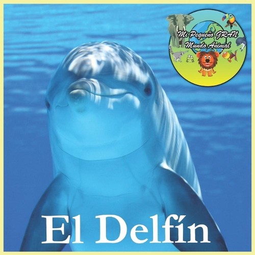 Delfn peque o gran - el, mi