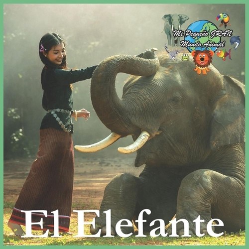 Elefante peque o gran - el, elefante: